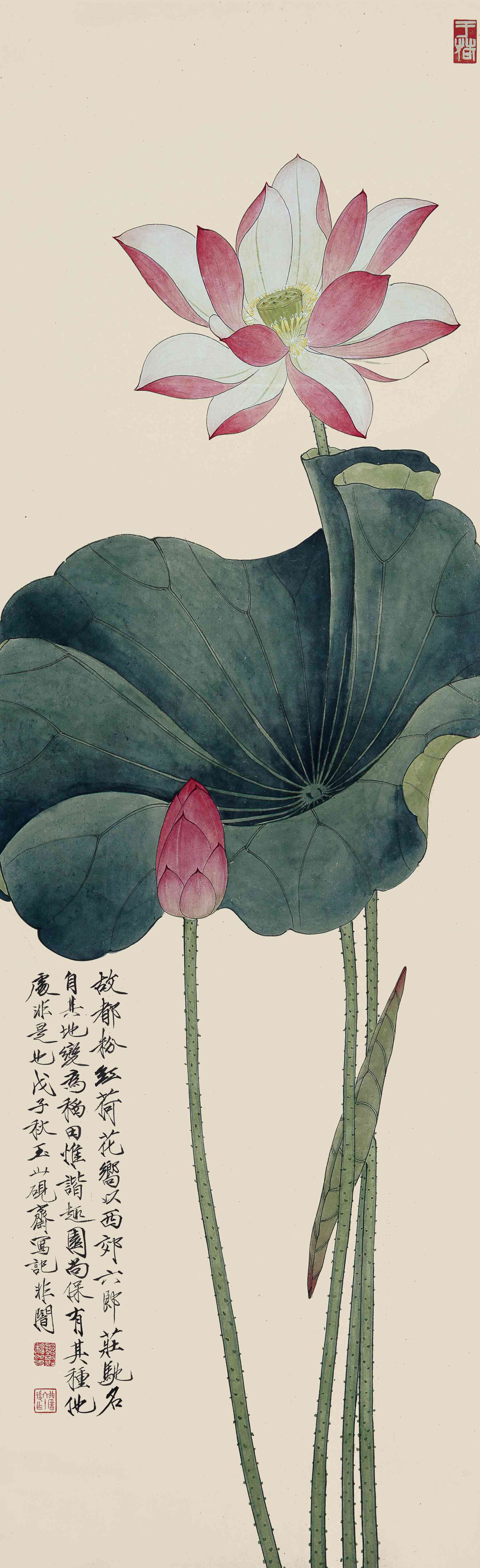 于非闇（1889-1959)菡萏出水香