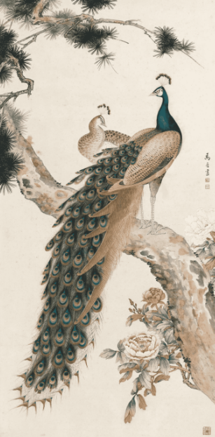 马晋( 1900—1970 )孔雀牡丹不老松